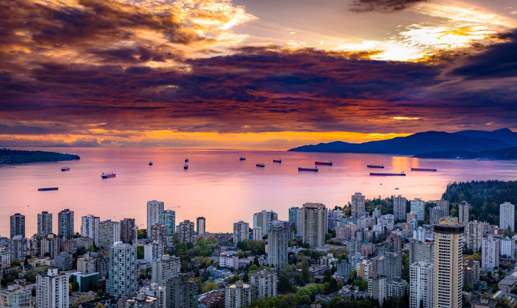 Market Update August 2023